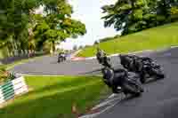 cadwell-no-limits-trackday;cadwell-park;cadwell-park-photographs;cadwell-trackday-photographs;enduro-digital-images;event-digital-images;eventdigitalimages;no-limits-trackdays;peter-wileman-photography;racing-digital-images;trackday-digital-images;trackday-photos